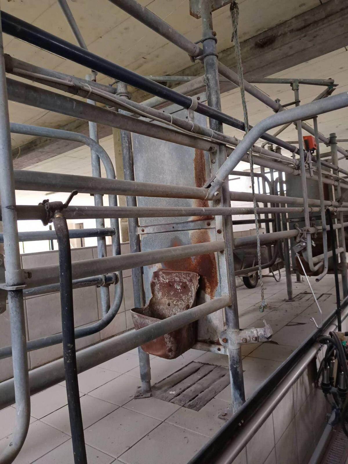 Melkstand Tandem 1x3 1