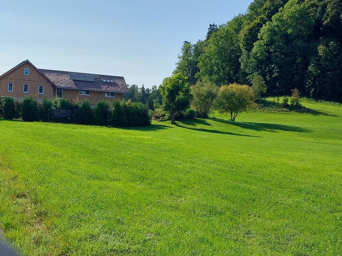 Landwirtschaftl. Grünfläche 5-6 ha ab Jan. 2026 zu verpachten 1