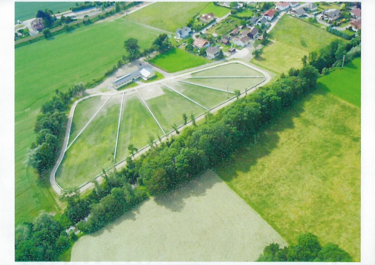 Pferdegestüt mit Wohnhaus zu verkaufen 1