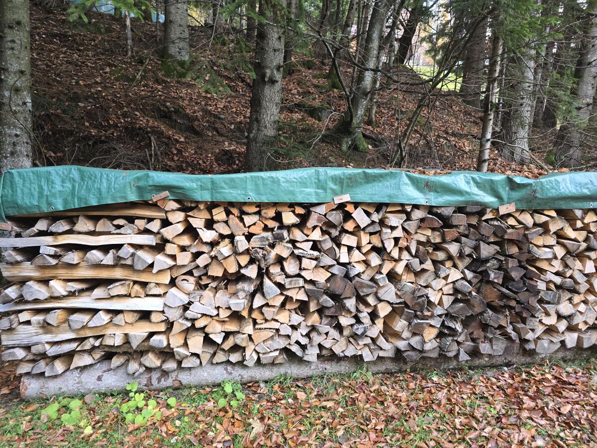 Brennholz: Robinie und Esche 1