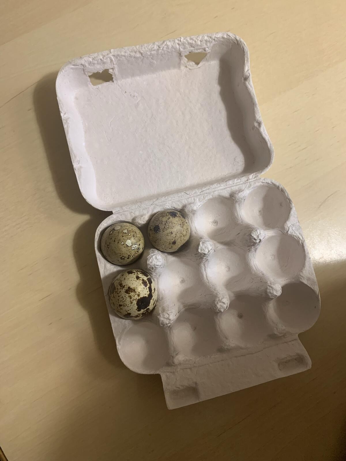 Wachteleier-Schachteln 3