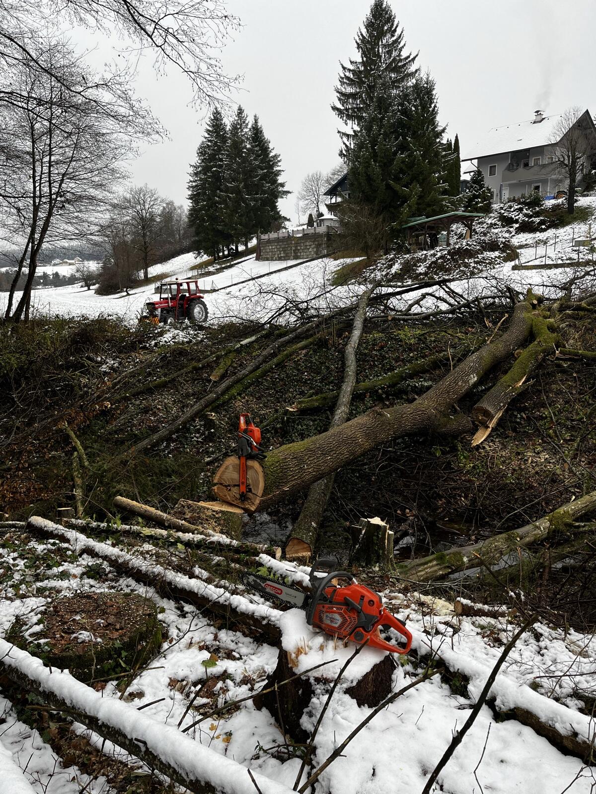 Hackschnitzelholz oder Brennholz 1