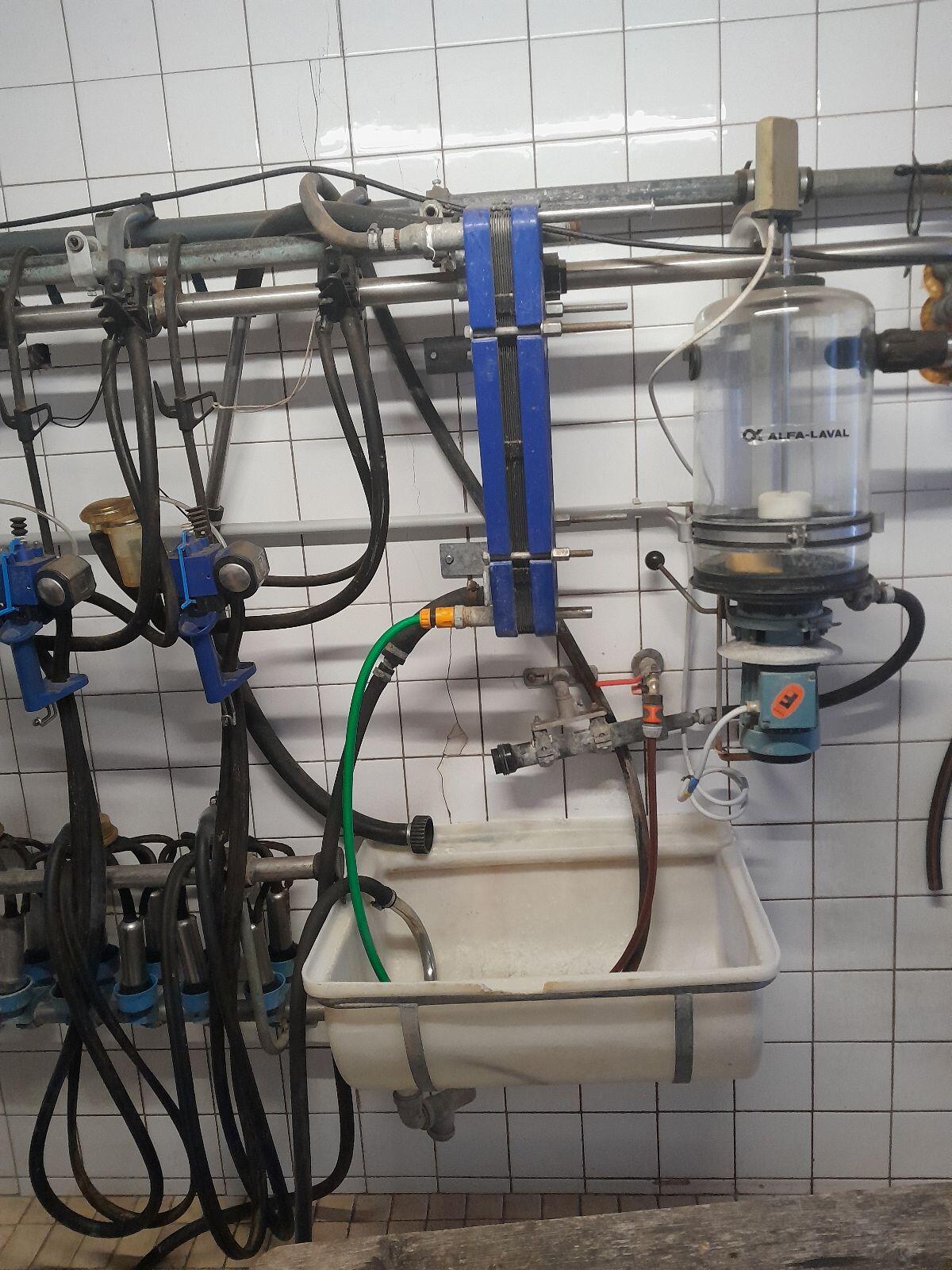 Rohrmelkanlage zu verkaufen 1