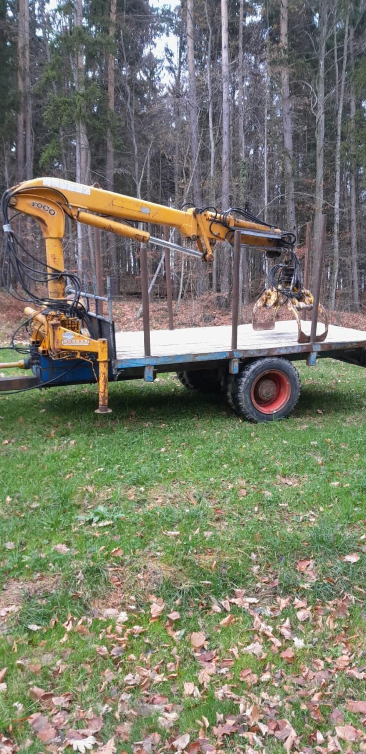 Kranwagen, Rückewagen, Holzwagen 2