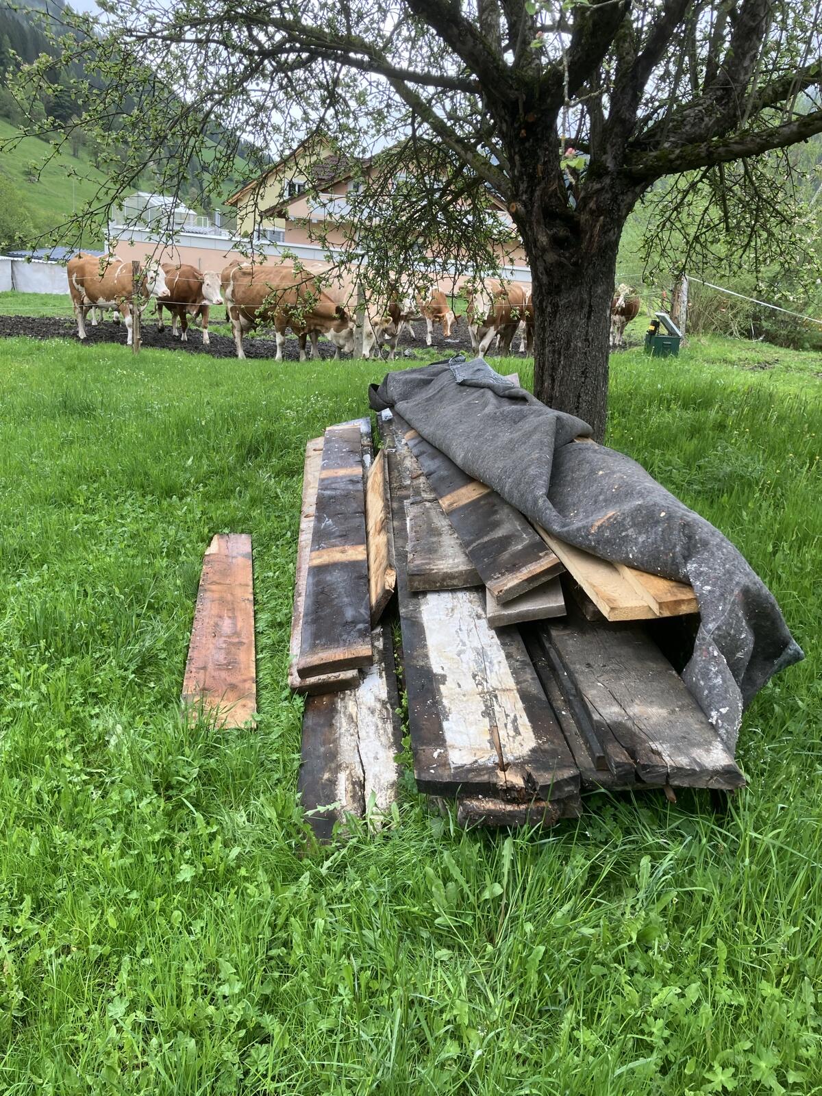 Altholz zu verkaufen 1