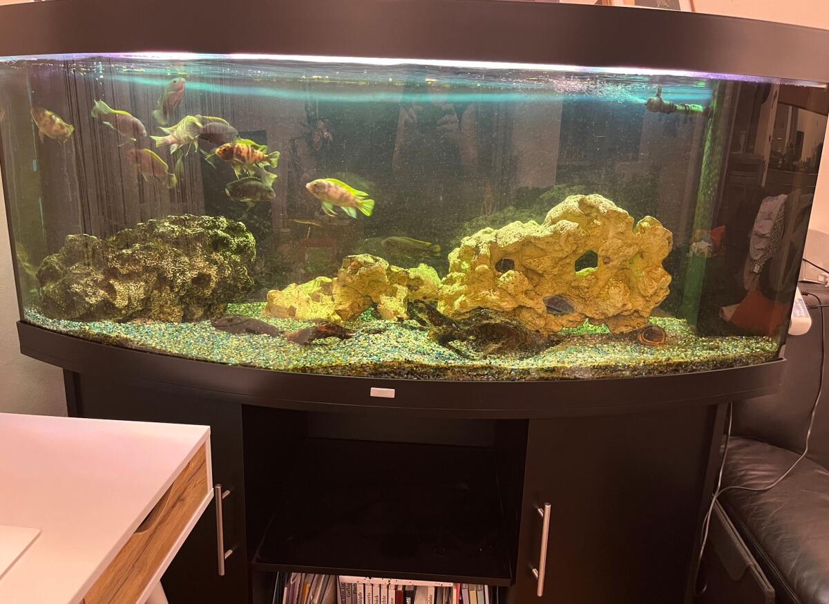 Aquarium Juwel Vision 450 l 1