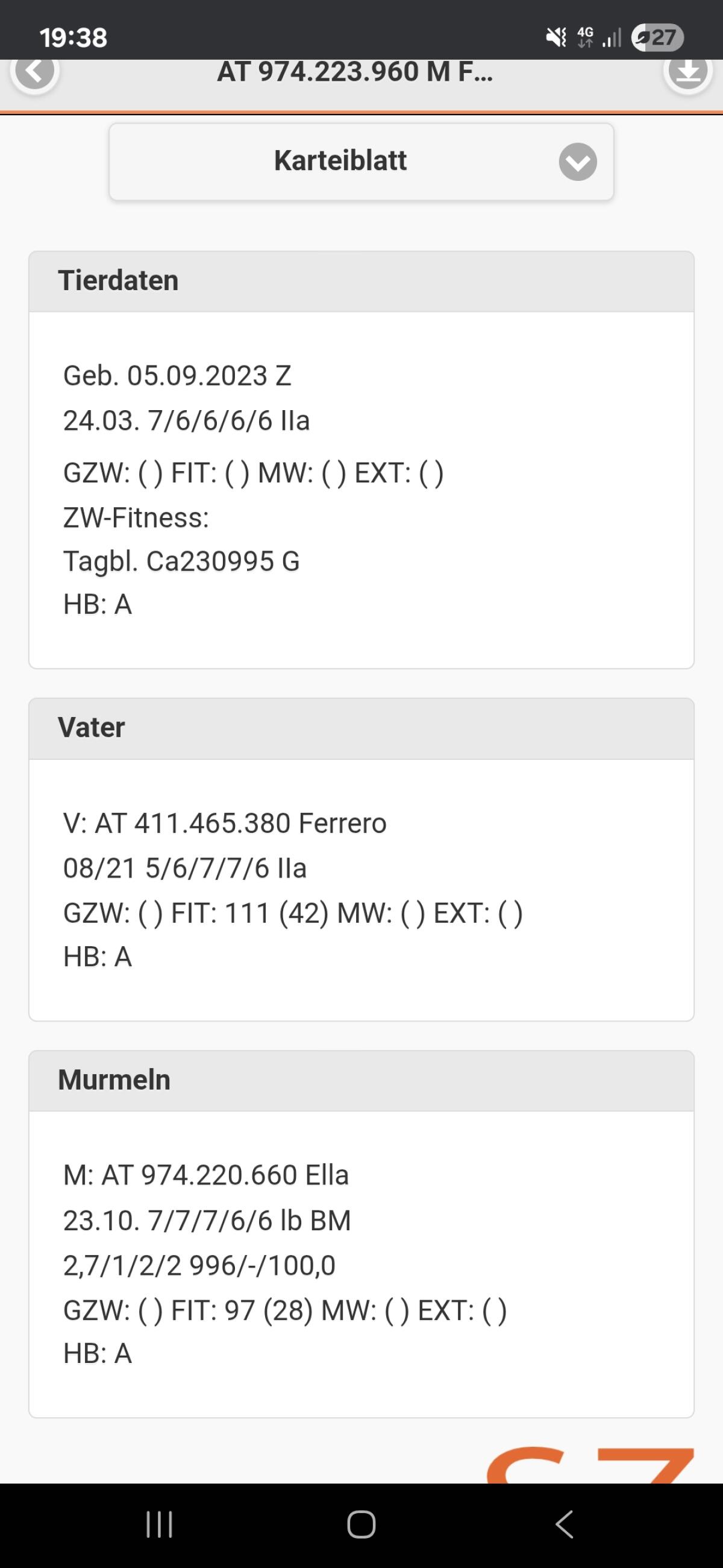 Verkaufe HB Tauernschecken Bock 3