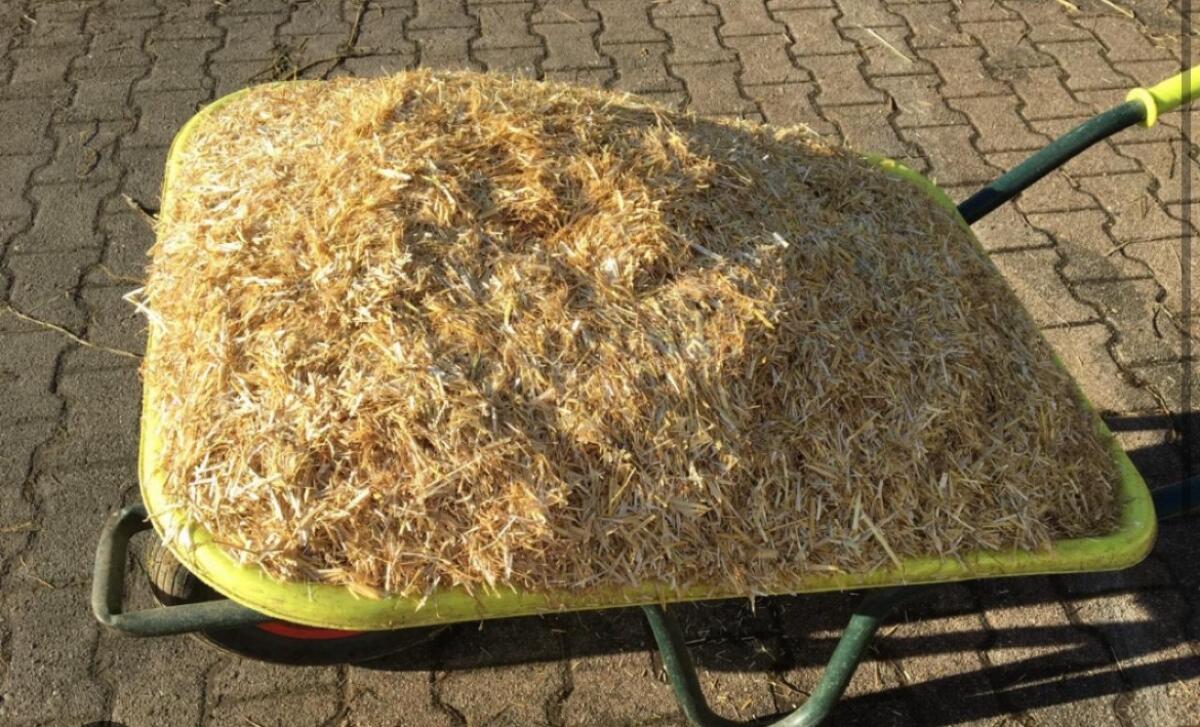 Weizen- und Gerstenstroh 1