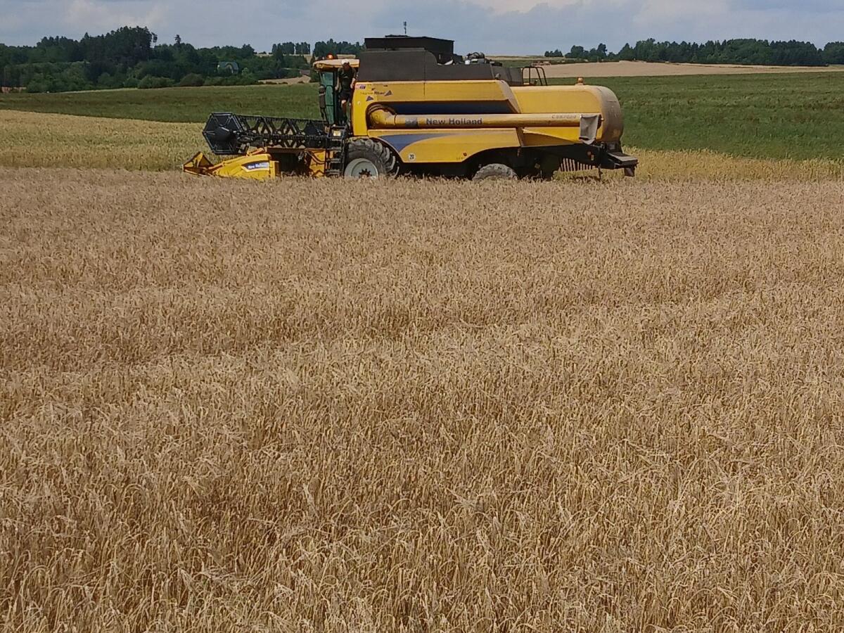 Praxis / Praktikumsplatz (m/w/d) Juli – Oktober 2026 2