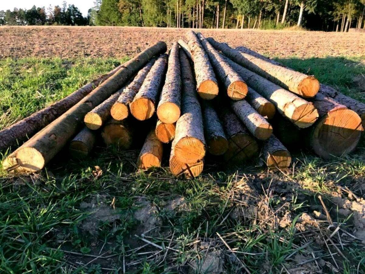 Pferdekoppelstangen 4 m 1