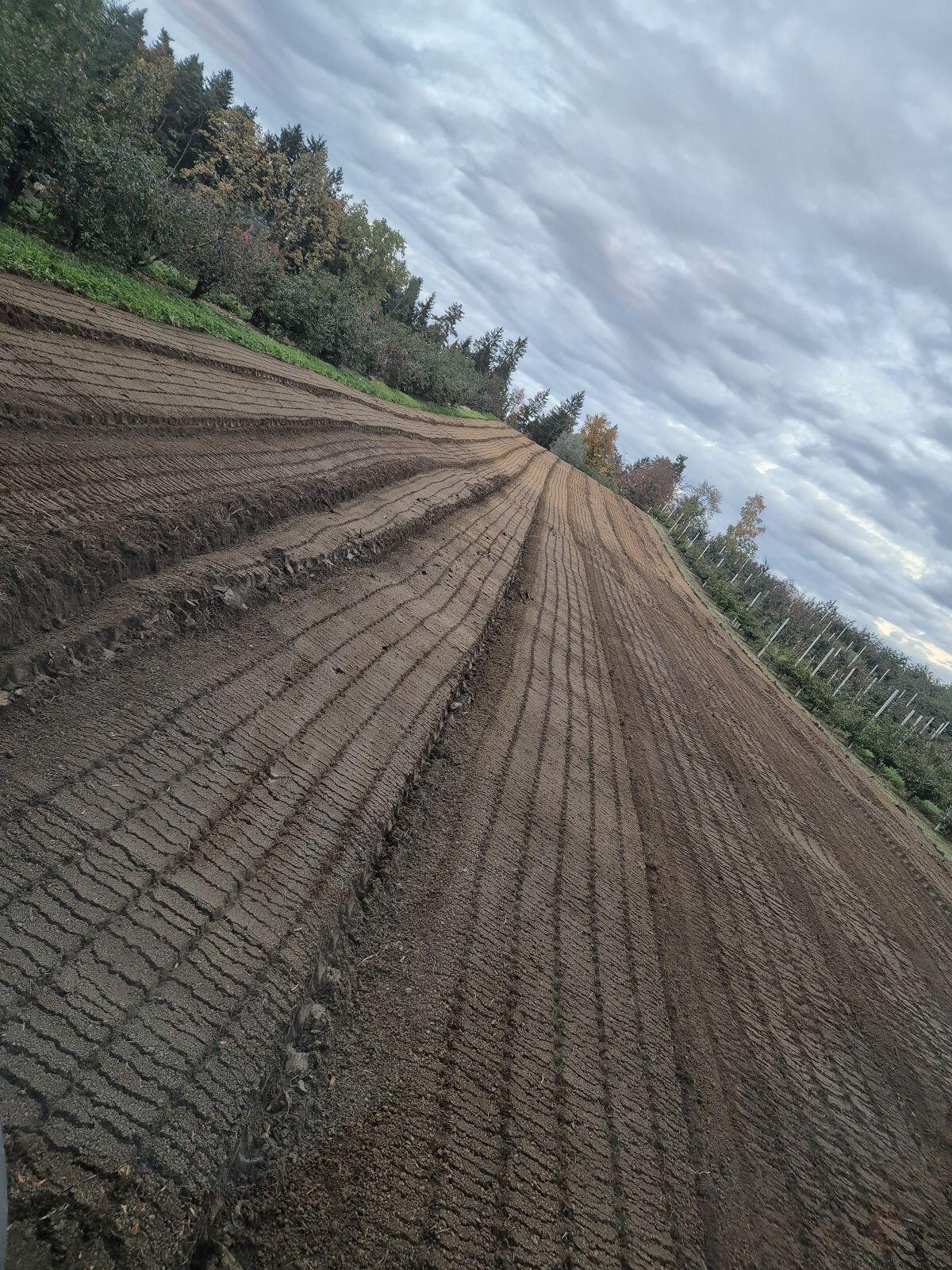 Forstmulchen - Rodungsfräse 3