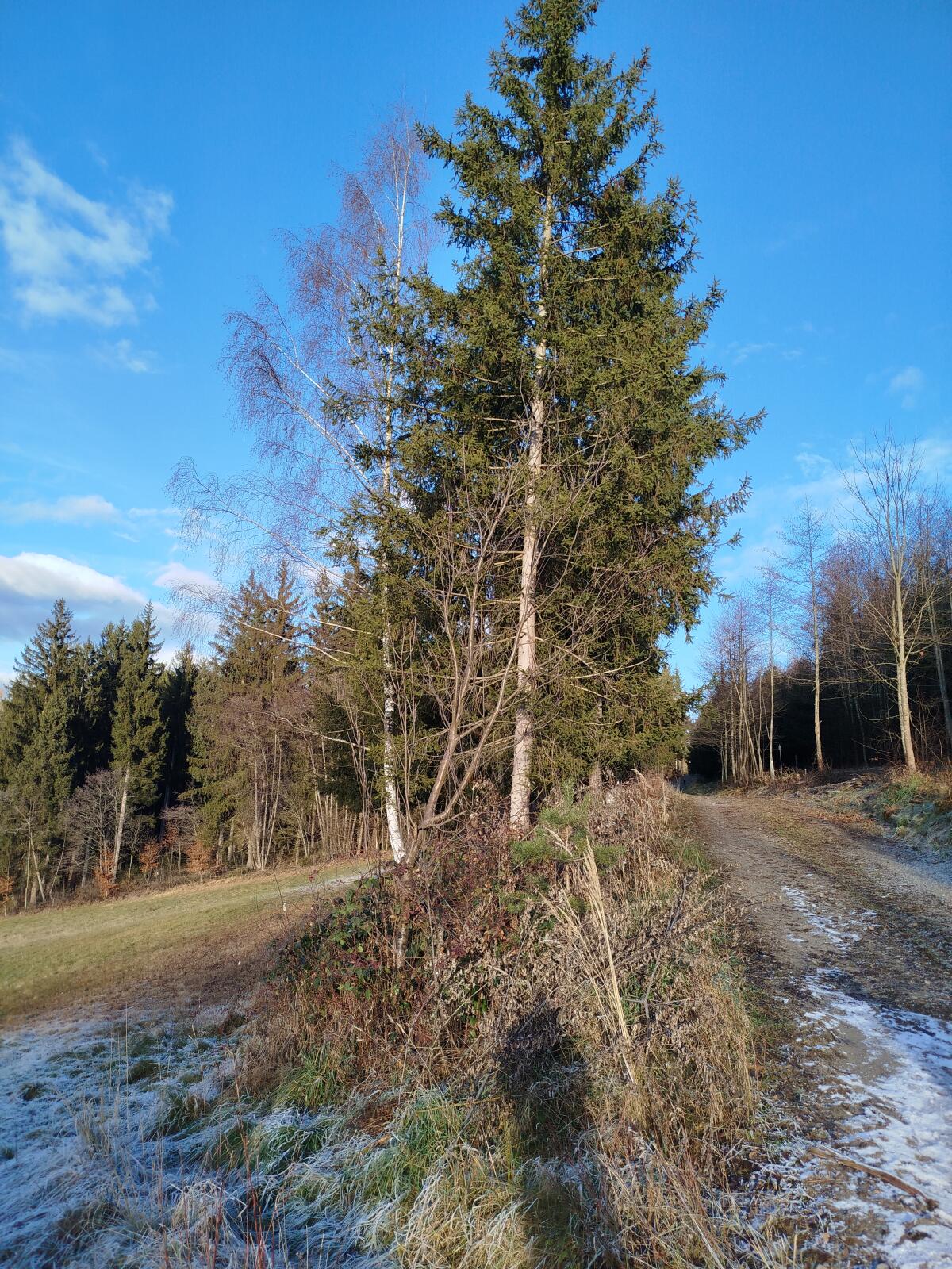 Landwirtschaftliche Fläche 2