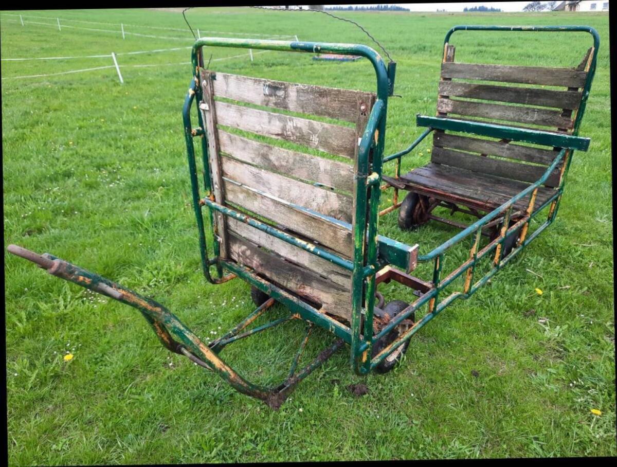 Postanhänger Holzanhänger Anhänger für Bummelzug - Fasching 2