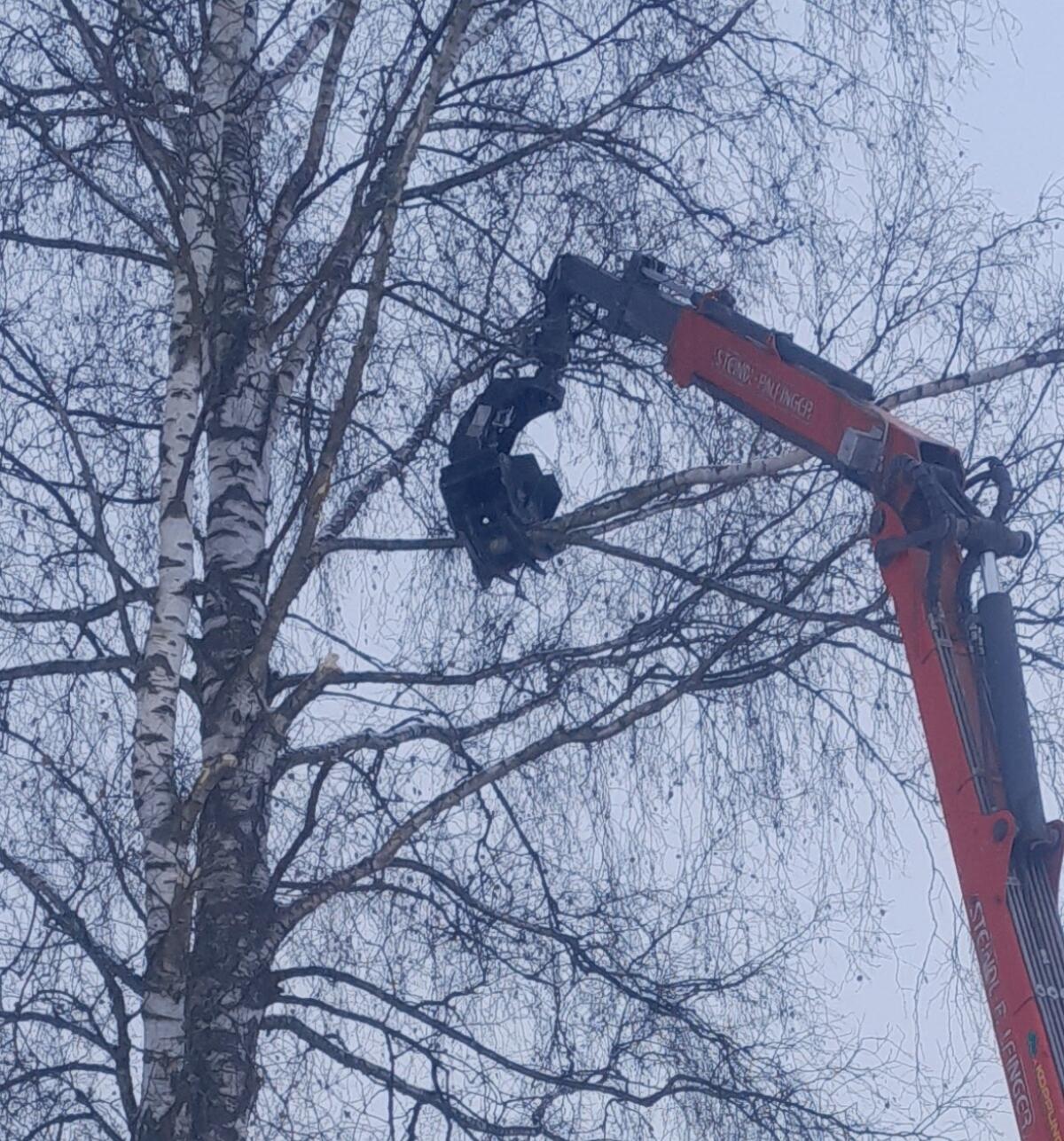 Fällgreifer Jak 200 K 2