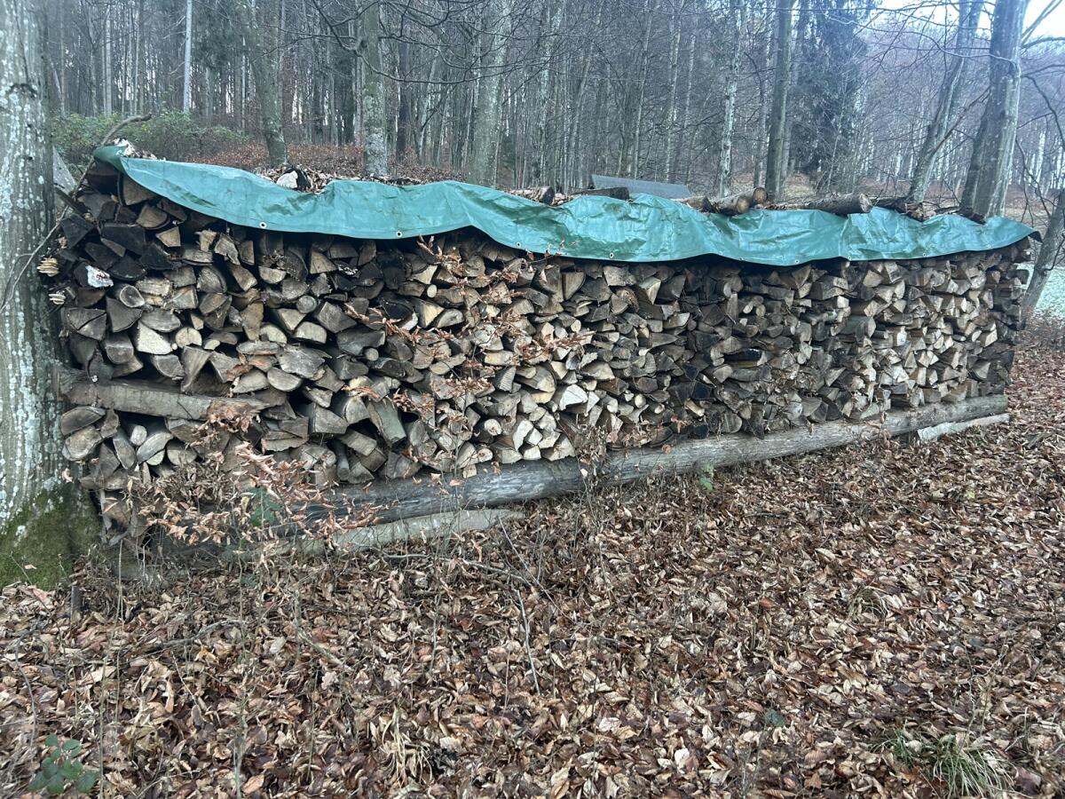 Brennholz - trocken 2