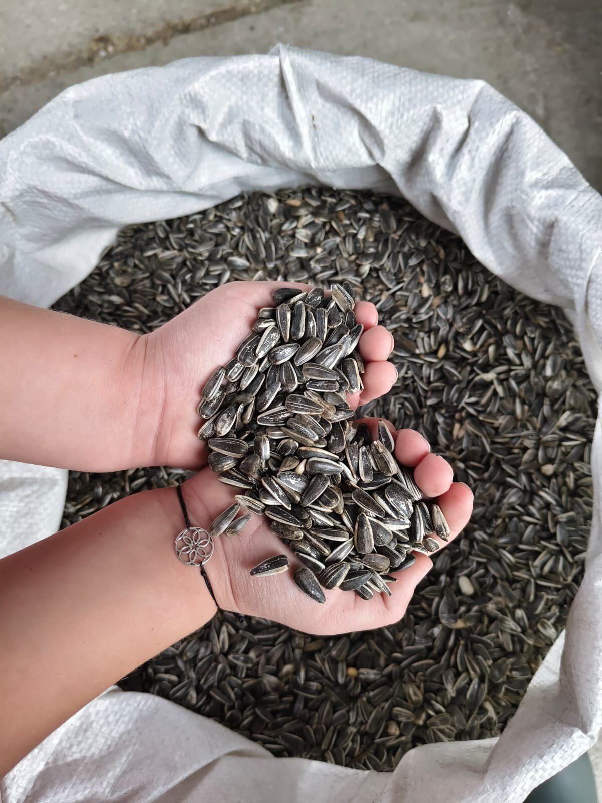 Vogelfutter-Sonnenblumenkerne 3