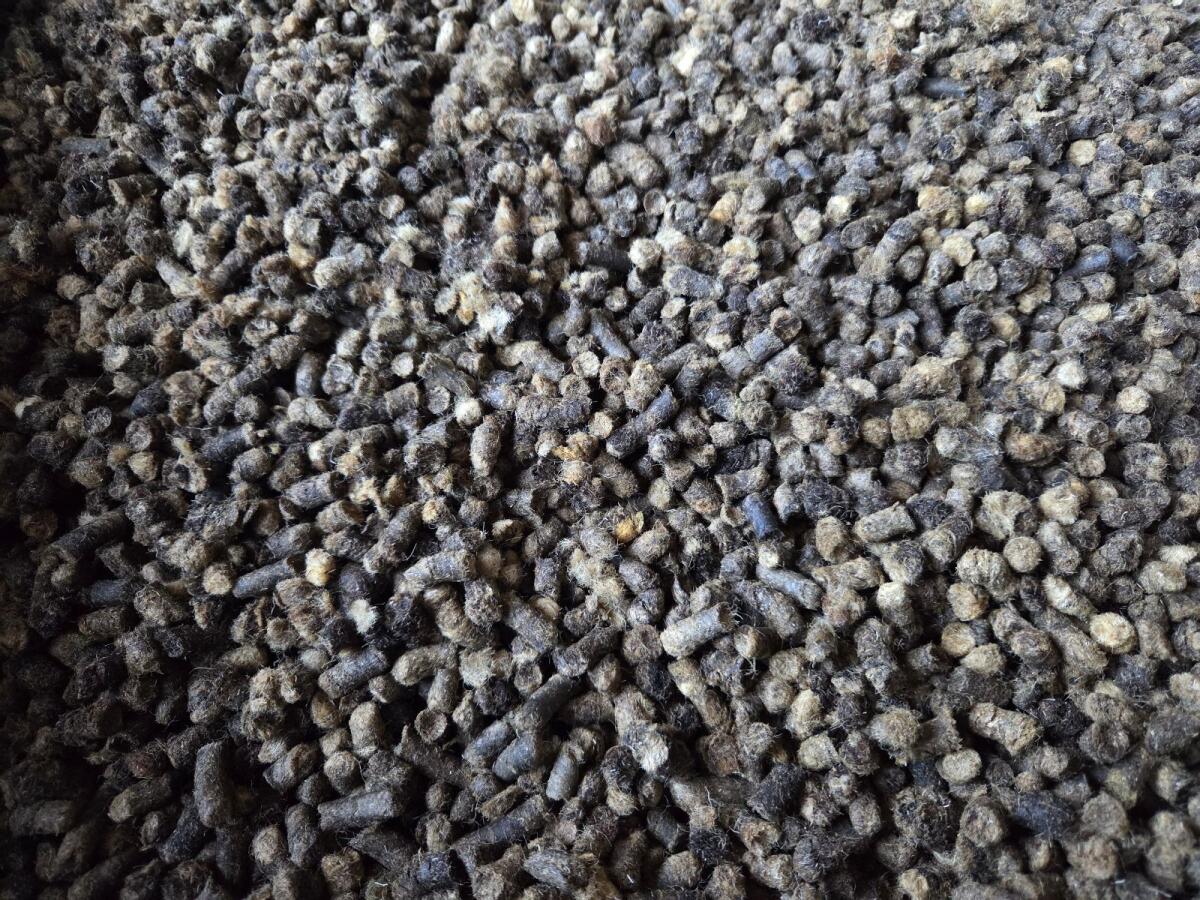 Schafwolle-Pellets 2