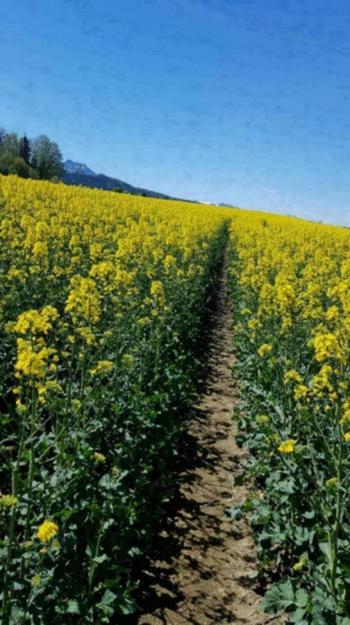 Suche Pachtflächen 1