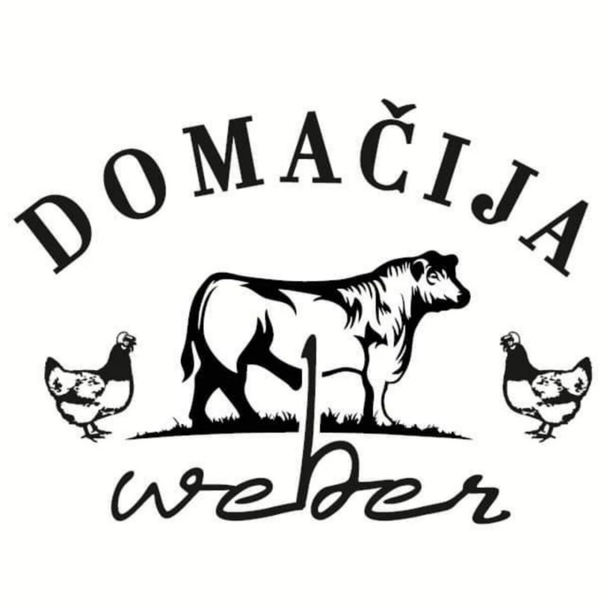 Aberdeen Angus Zuchttiere 1