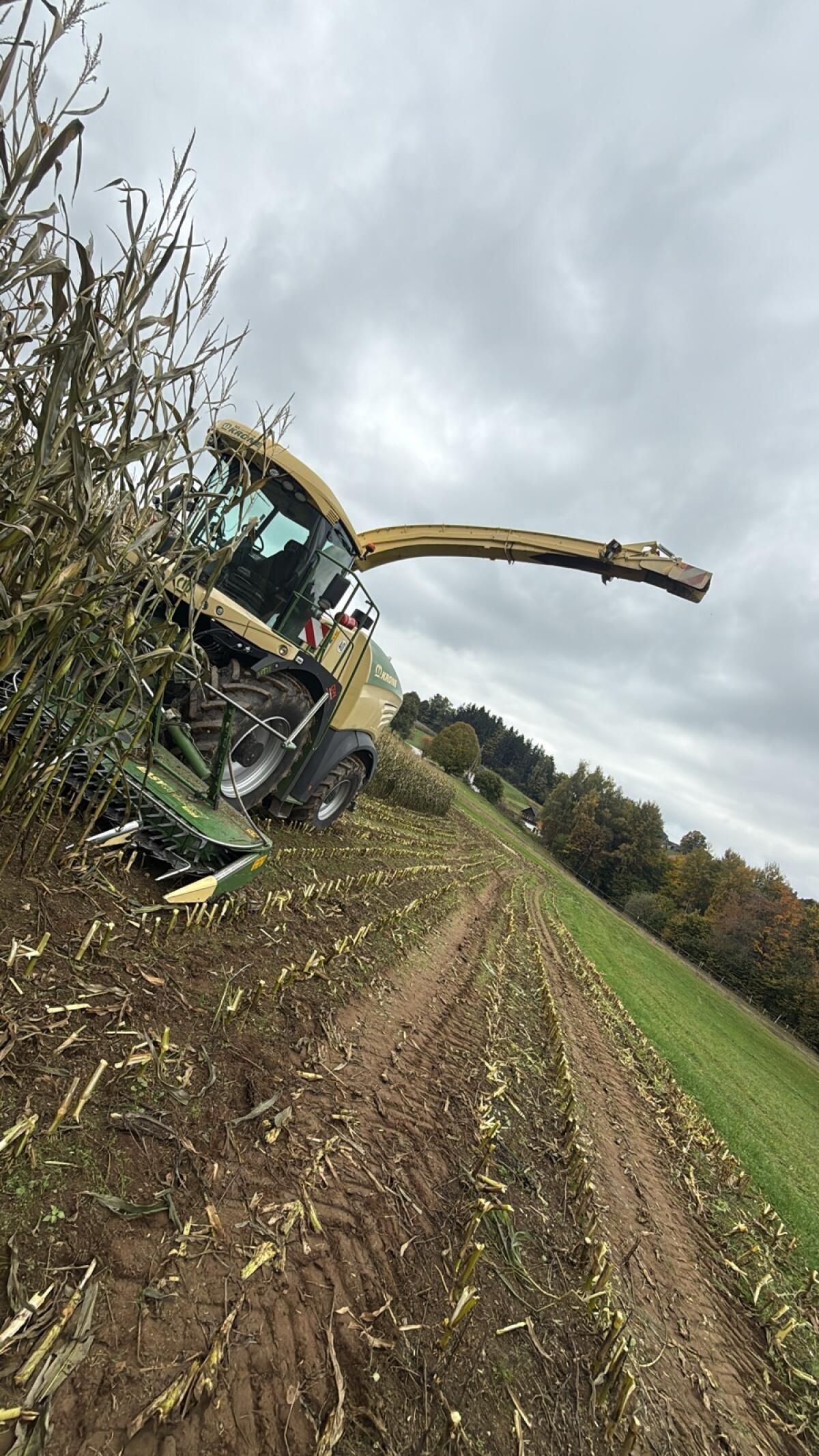 Krone Big X Häcksler 2