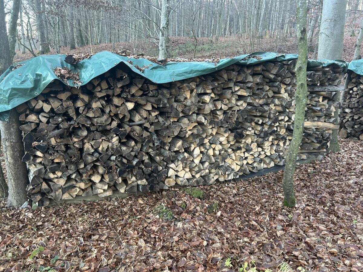 Brennholz - trocken 1