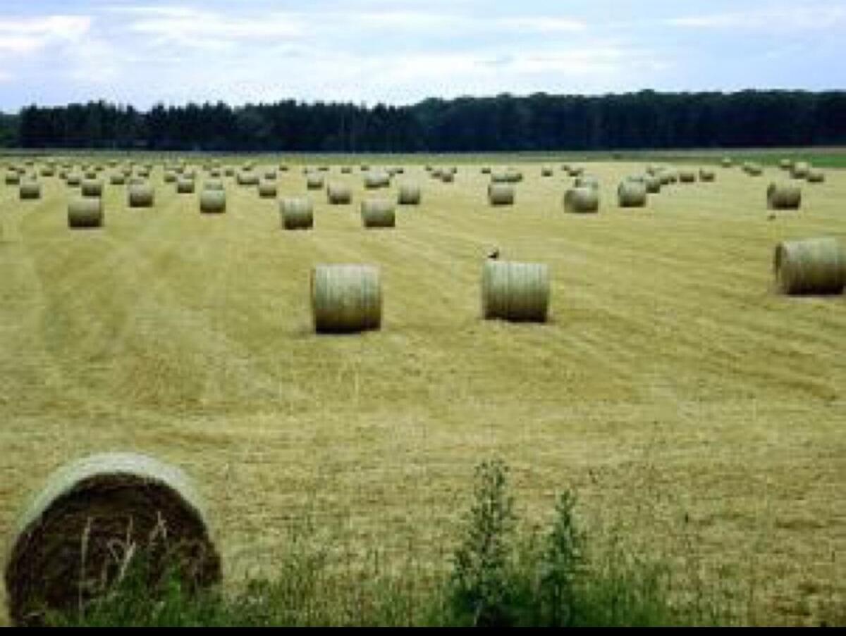 Rundballen Heu und Grummet 1