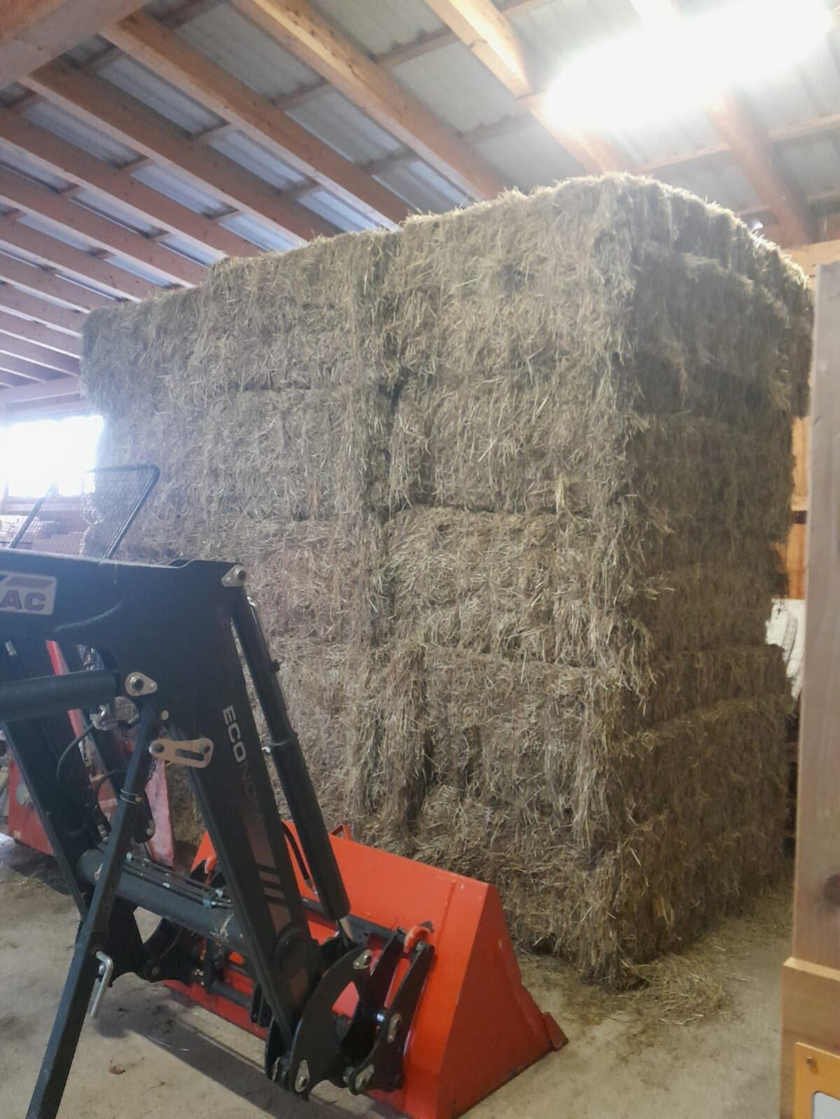 Heuballen zu verkaufen 1