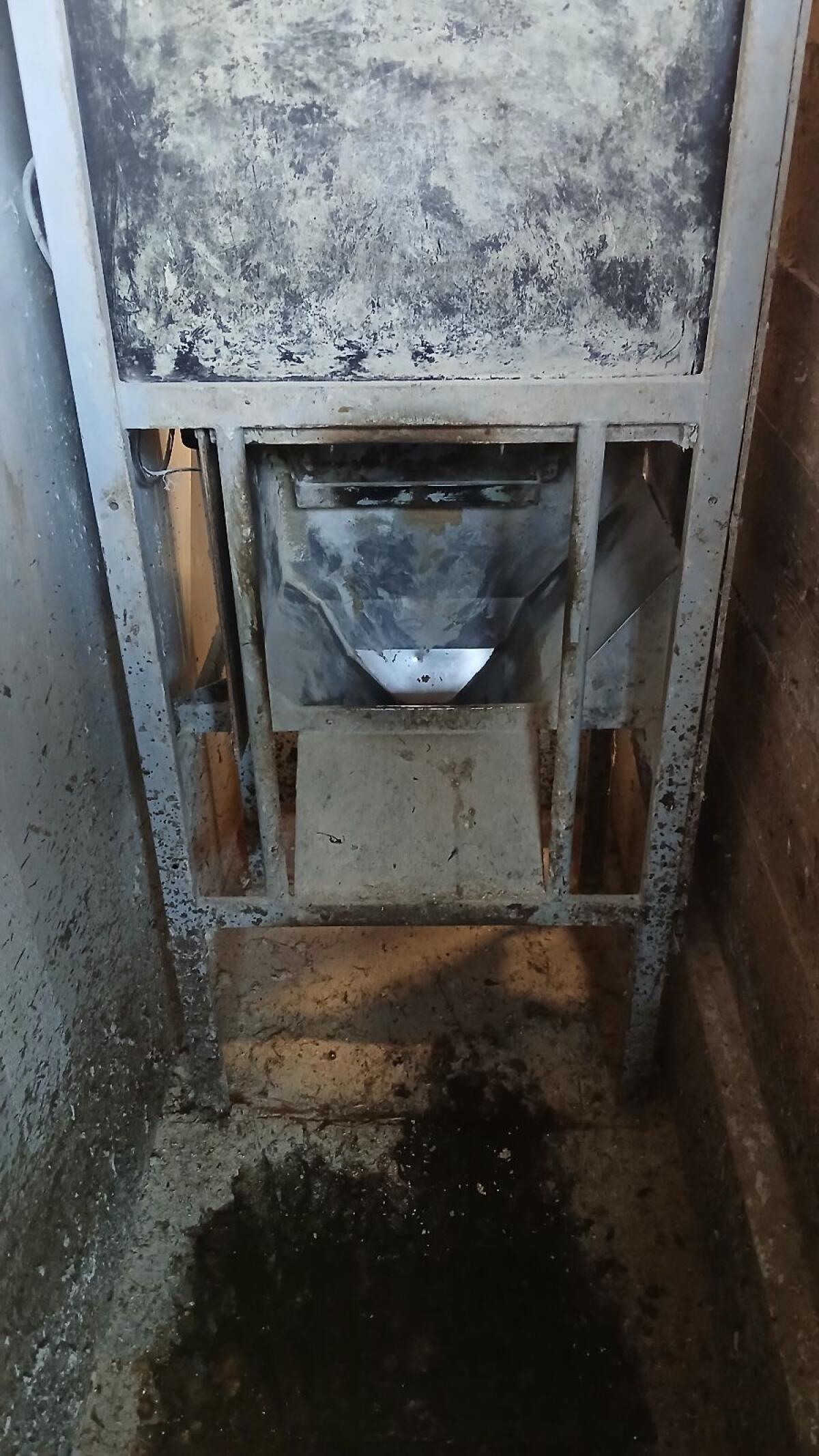 Wasserbauer Kuhmeister 2