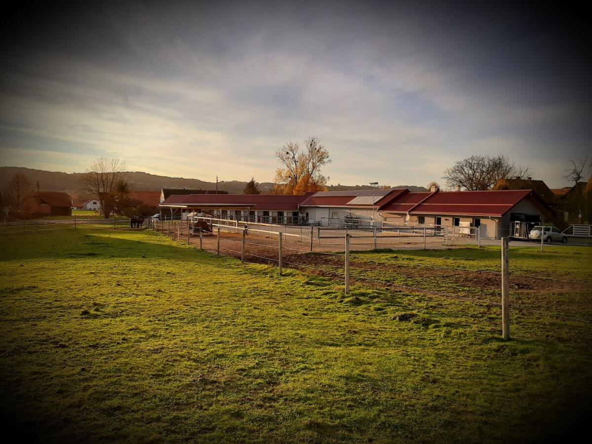 Verstärkung gesucht 1