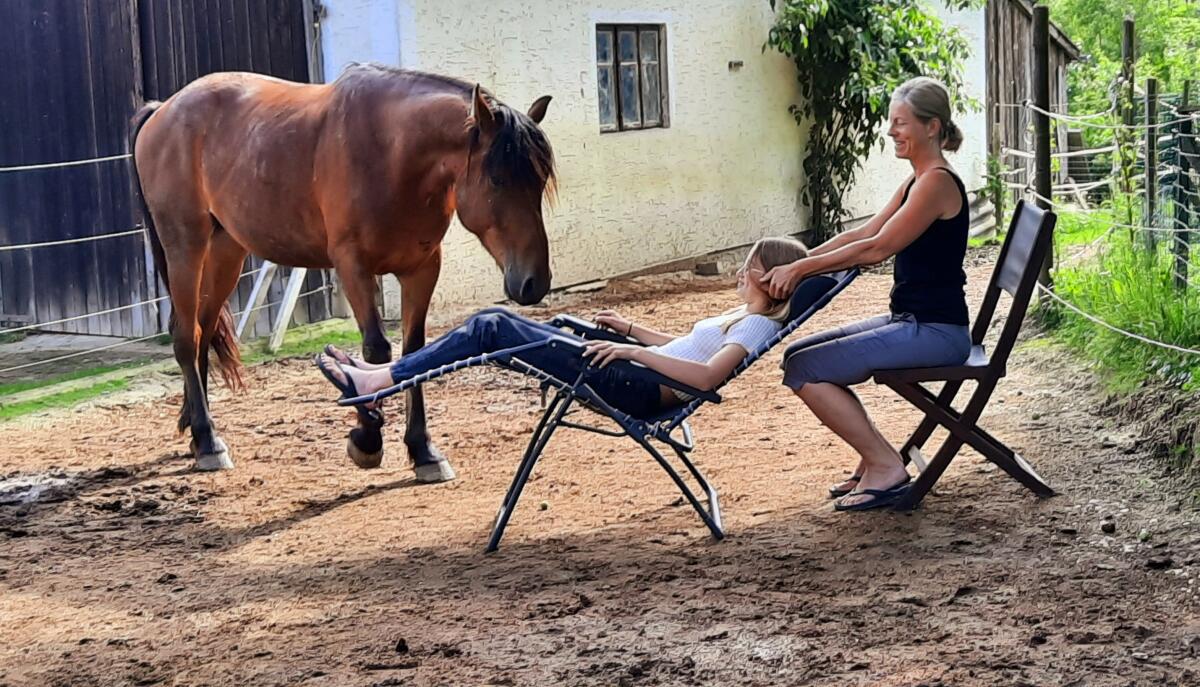 Verkaufe wunderschönes Familienpferd, Freizeitpferd 1