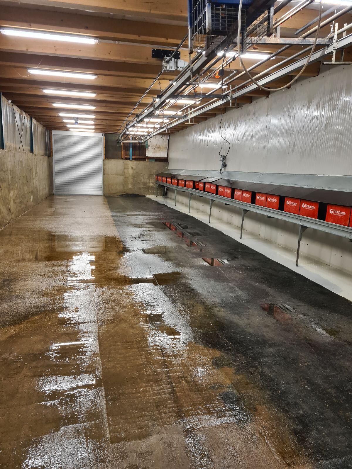 Hühnerstall, Legehennenstall, Stalleinrichtung, Fiemhage 2