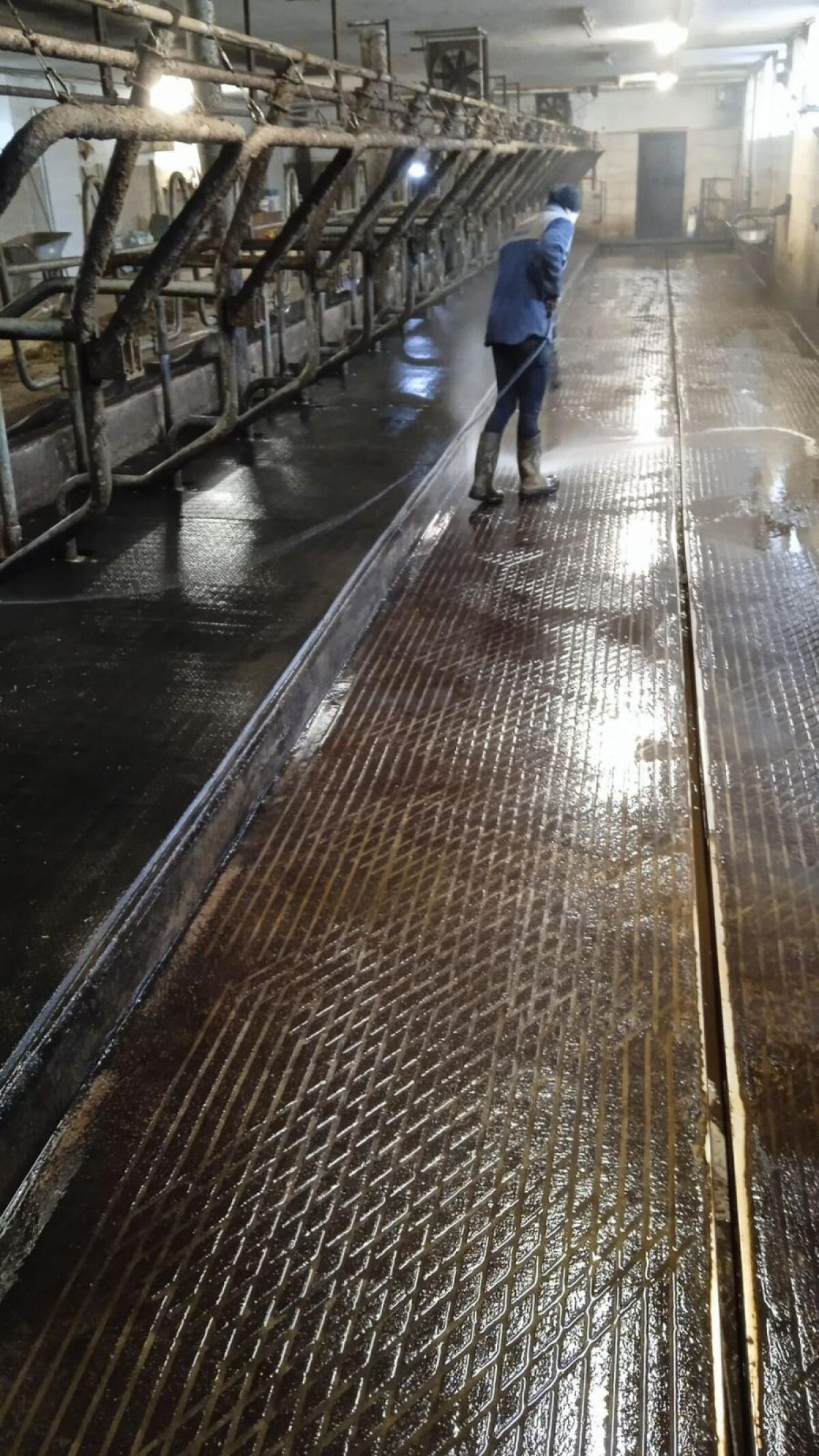 Fressliegeboxen (Trennbügel/Fressgitter inkl. Absperrbügel) 2