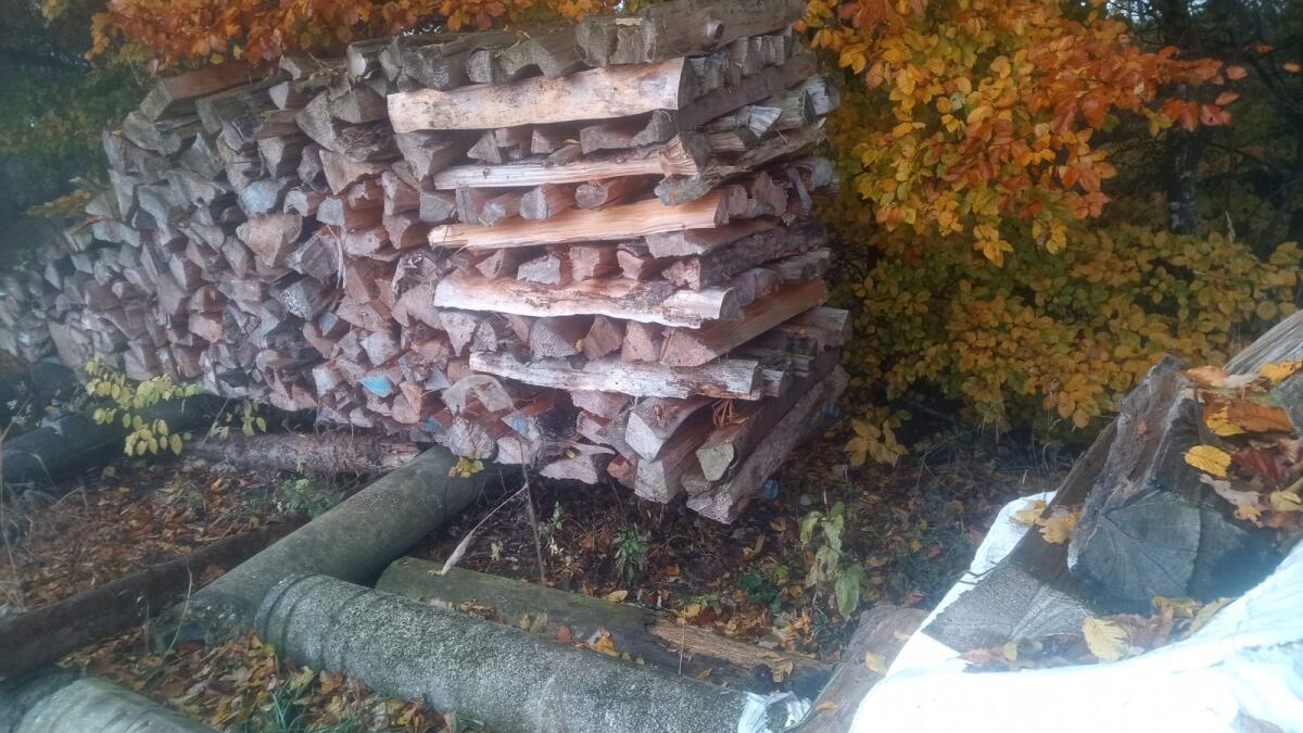 Brennholz 2