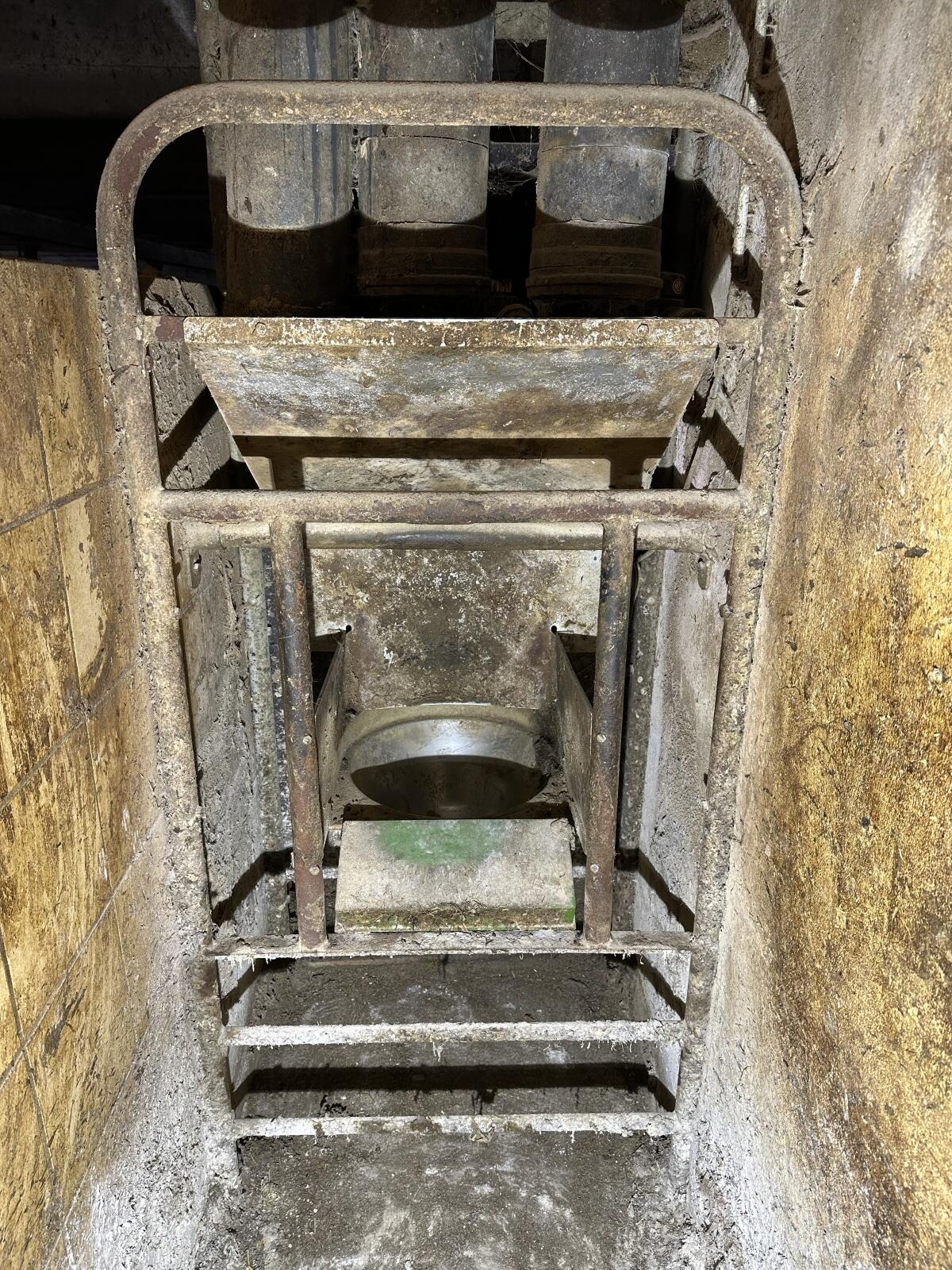 Westfalia Fütterung 1