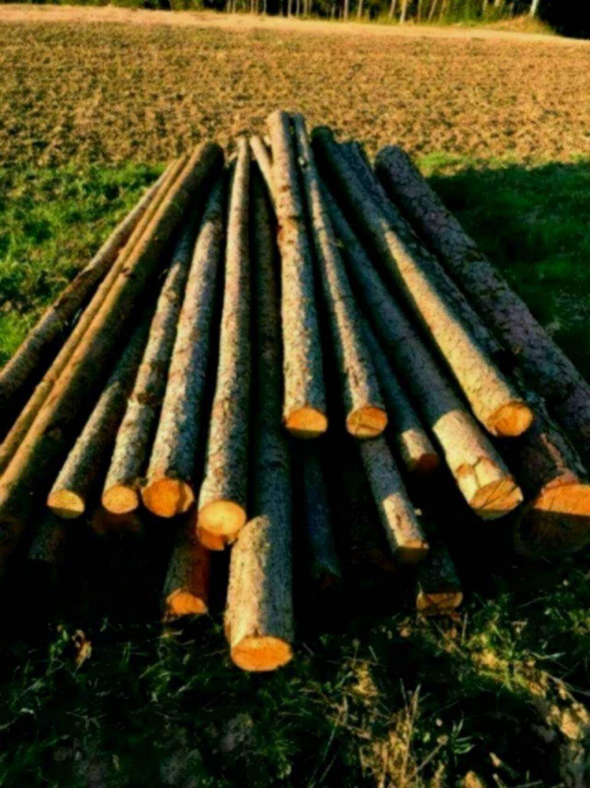 Pferdekoppelstangen 4 m 2