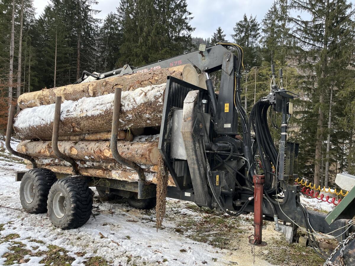 Palms Holzanhänger 675 3