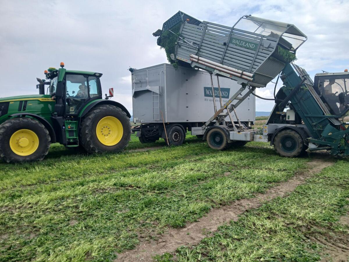 Praxis / Praktikumsplatz (m/w/d) Juli – Oktober 2026 3