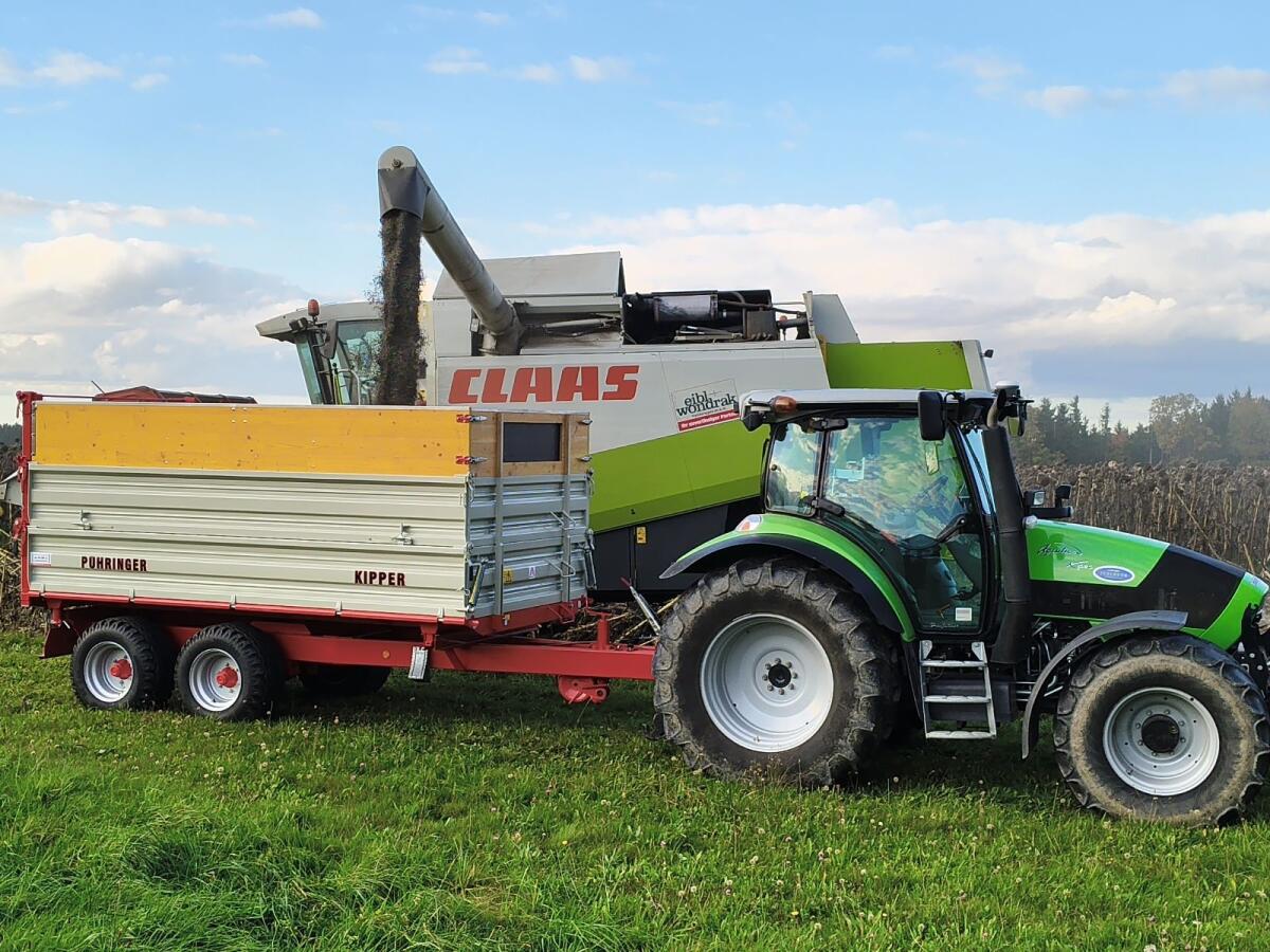 Vogelfutter-Sonnenblumenkerne 1