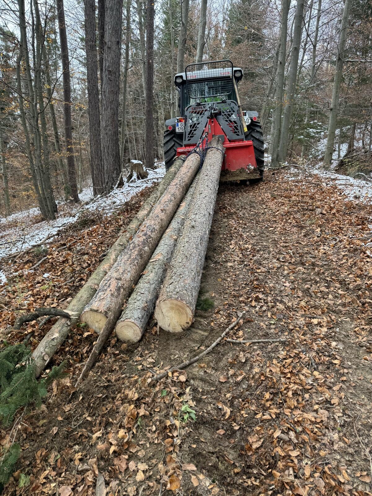 Forstarbeiten Raum Graz Umgebung 1