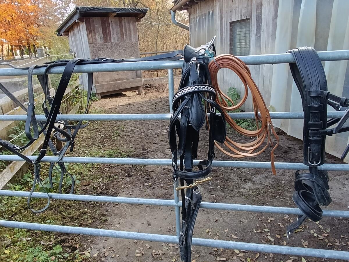 Brustblattgeschirr 1