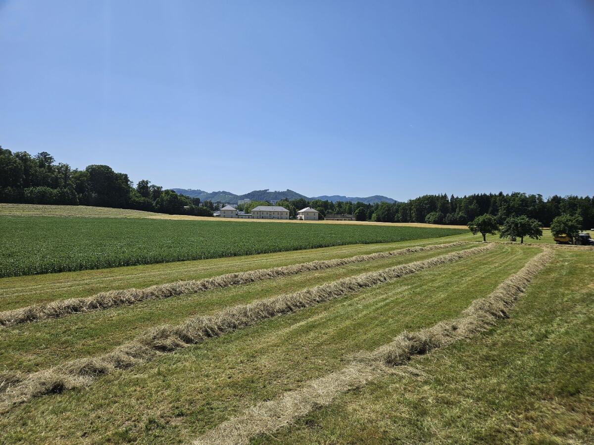 Suche Pachtflächen 3