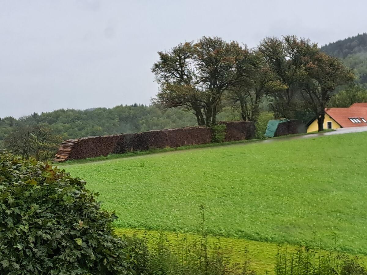 Verkaufe Brennholz 1