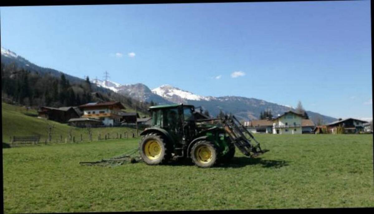 Praktikant/in gesucht für Grünlandbetrieb 3