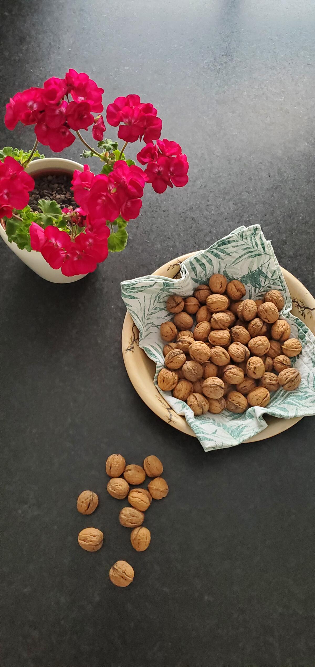 Frische Walnüsse, Ernte 2025 1