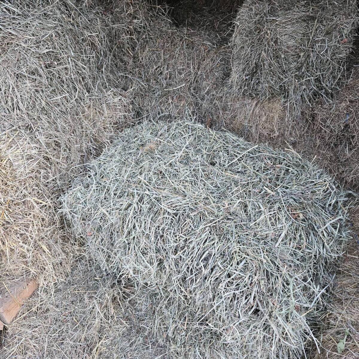 Heu in kleinen Ballen 2