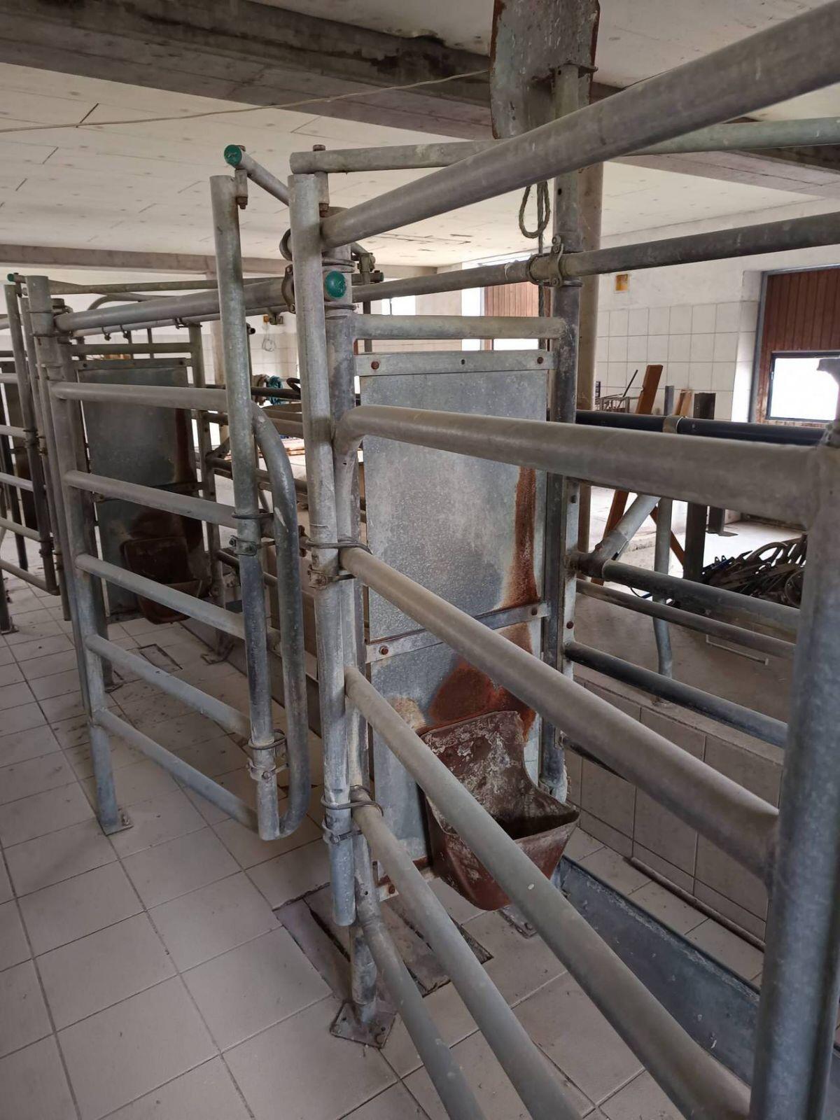 Melkstand Tandem 1x3 3