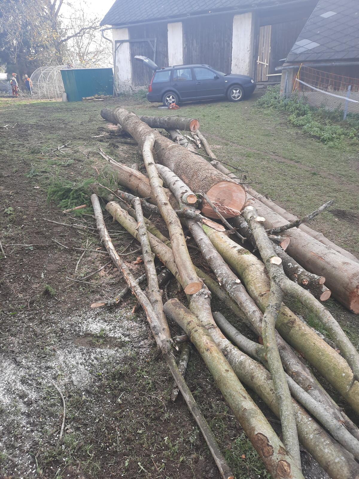 Brennholz Hartholz 2