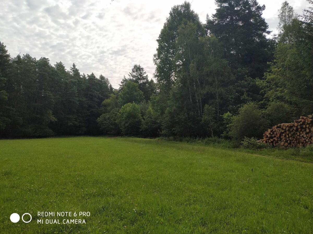 Wald - 32.262 m² 1