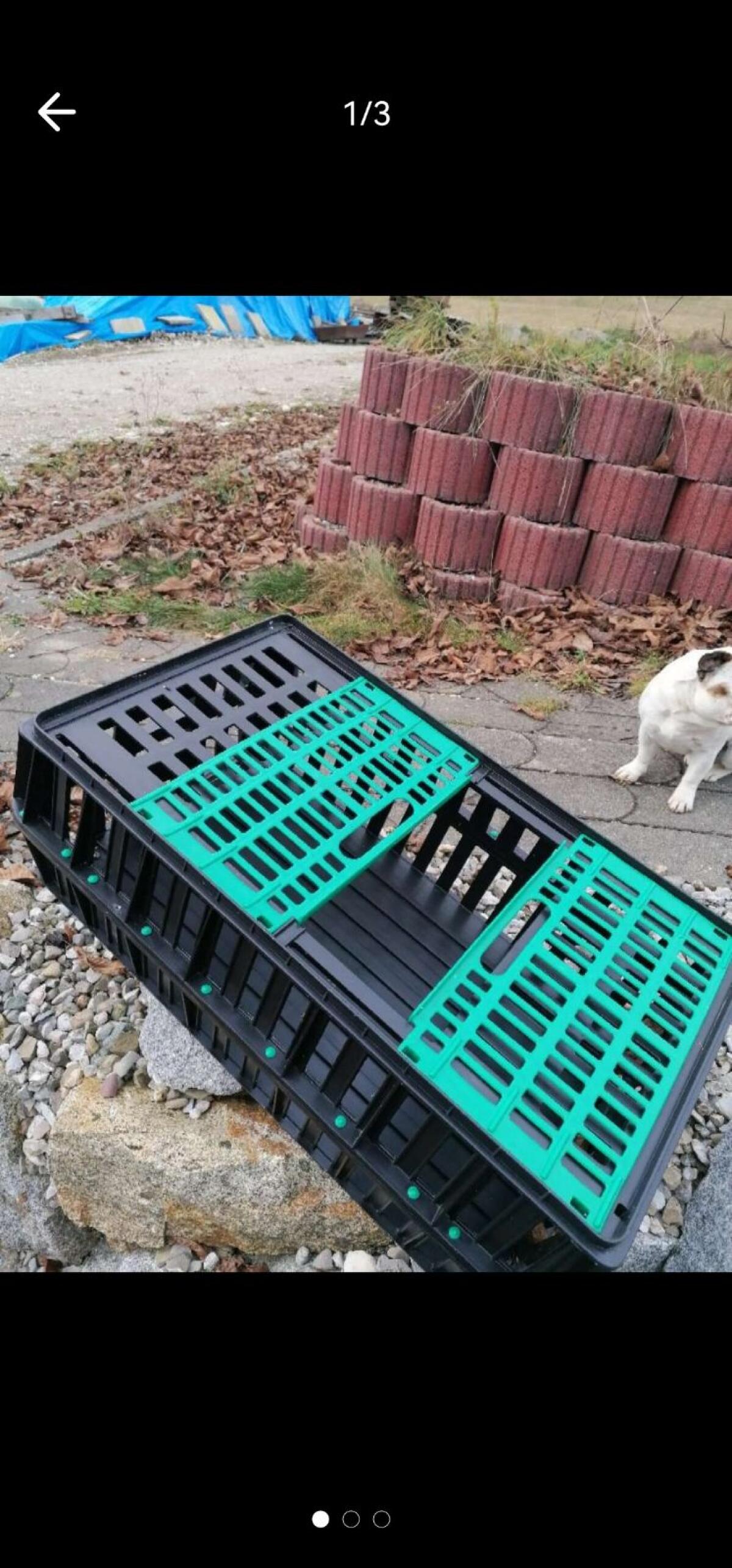 Transportbox für Geflügel 2