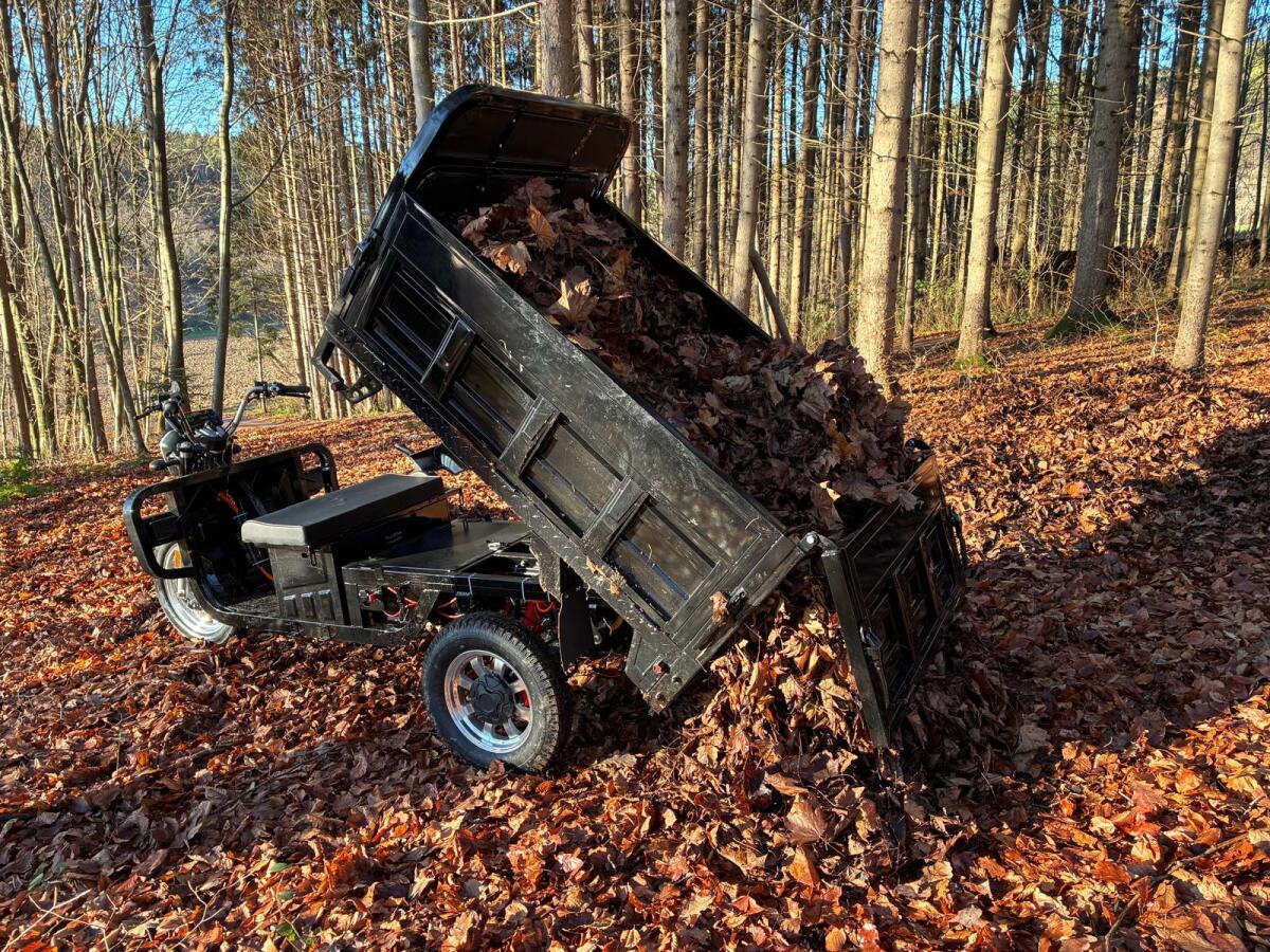 Pocca Tuk Tuk 45 km/h + Hydraulischer Kipper Campo PTT45 3